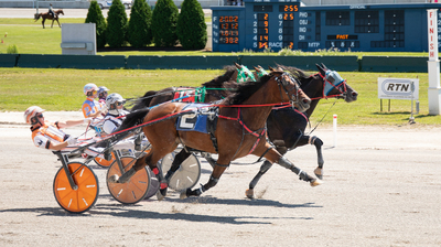 Buffalo Raceway Race 2 Pennant Seelster-Classic Sunny.jpg