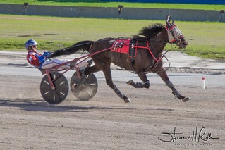 THE BRONX BUMPER 4-14-17-1.jpg